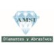 Logo AMSI