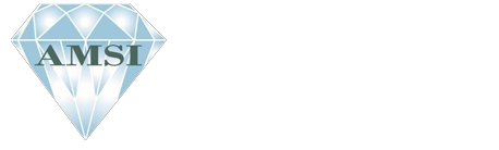 logo-amsi-texto